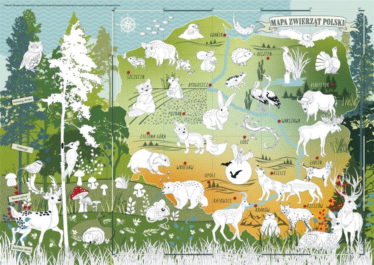 Mapa "Zwierzęta Polski" kolorowanka edukacyjna
