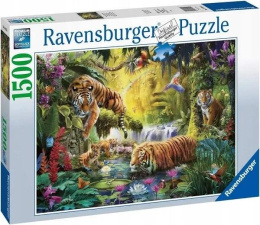Puzzle 1500 Spokojne tygrysy