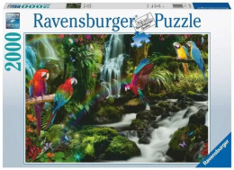 Puzzle 2000 Papugi w dżungli