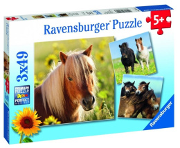 Puzzle 3x49 Konie