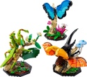 LEGO 21342 Ideas Kolekcja owadów