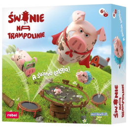 Świnie na trampolinie