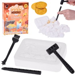 Mały archeolog wykopaliska monety kopalnia złota szukanie skarbów ZA5596