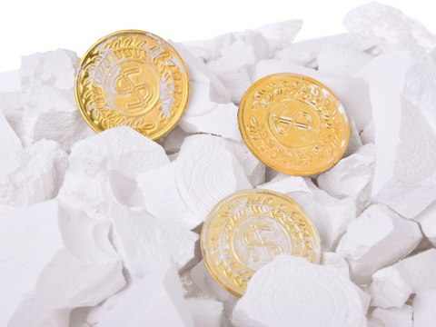 Mały archeolog wykopaliska monety kopalnia złota szukanie skarbów ZA5596