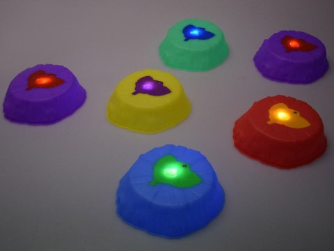 Świecąca ścieżka sensoryczna - kamienie do treningu równowagi 6 szt. SP0828