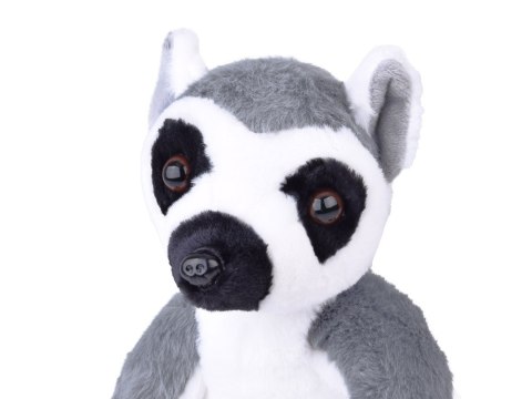 Maskotka duży pluszowy Lemur z Madagaskaru siedzący 27cm 14159