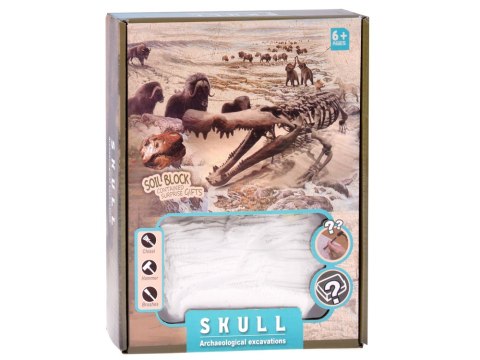 Zestaw archeologiczny Wykop niespodziankę skamieniałe CZASZKI ZA5754