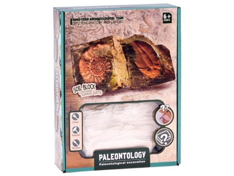 Zestaw archeologiczny Wykop niespodziankę skamieniałe LIŚCIE i KOŚCI ZA5753