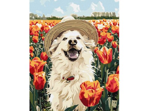 Zestaw do malowania po numerach Szczęśliwy labrador KHO6623 40x50 AP0042
