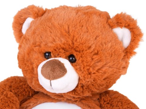 Pluszowy miś projektor gwiazd z kołysankami lampka usypiacz ZA5713