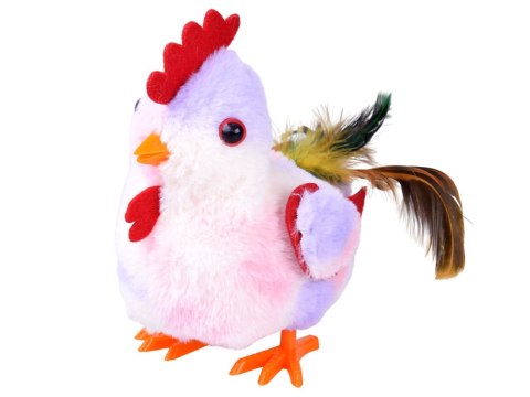 Dreptająca KURA Grażyna kukuryku! - pieje i macha skrzydłami ZA6018