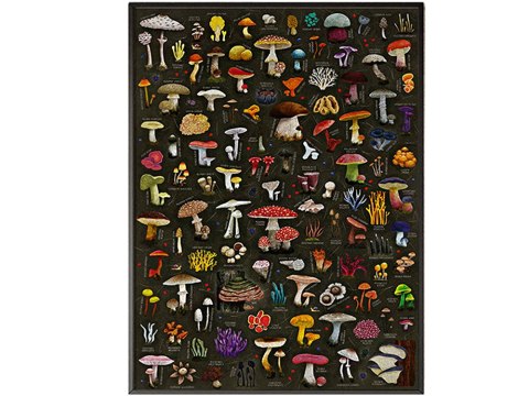 CzuCzu Puzzlove Puzzle GRZYBY 1000 elementów ZA5620