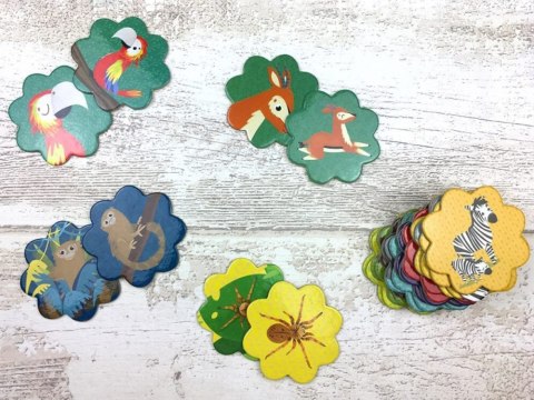 Kapitan Nauka gra pamięciowa Memory Afryka GR0633