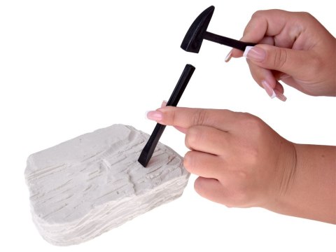 Zestaw archeologiczny Wykop niespodziankę skamieniałe CZASZKI ZA5754