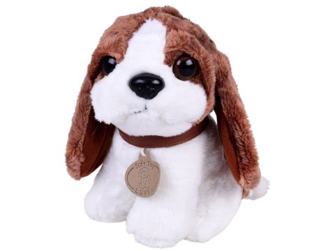 Urocza Maskotka Piesek w Torebce przytulanka dla dziecka ZA5856