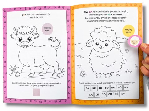 Kapitan Nauka Kolorowanka sylabowa. Na wsi KS1211