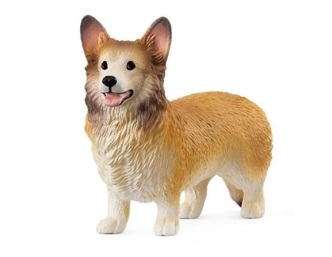 Corgi