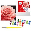 Malowanie po numerach 40 x 40 cm KHO3236 Doskonała róża AP0095