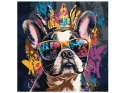 Malowanie po numerach 40 x 40 cm KHO6706 Jasny buldog AP0097