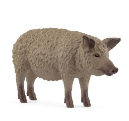 Świnia Mangalica