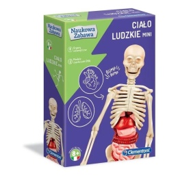 Naukowa zabawa. Ciało ludzkie mini