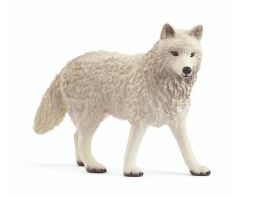 Wilk polarny