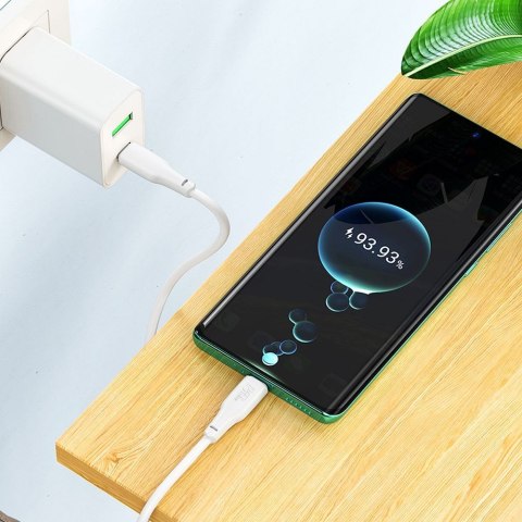 Kabel USB C do USB C Hoco 3A 100W 2 m X93 biały