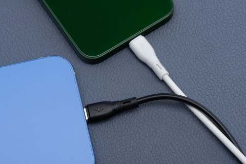 Kabel USB C do USB C Blue Star 3A 60W ECO 1 m PJ73-13-3 czarny