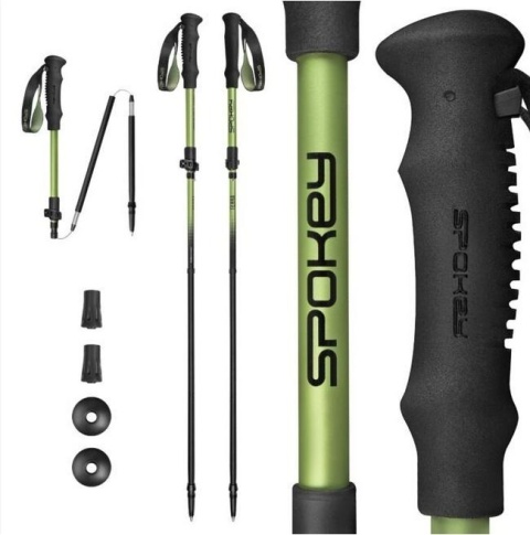 Kije trekkingowe Terra