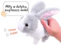 Interaktywny zwierzaczek chrupaczek Kicający Królik + marchewka ZA2685