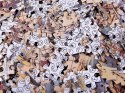 Puzzle antyczna stara MAPA ŚWIATA 1000 ele ZA3963