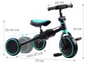 Rowerek trójkołowy 3w1 + biegowy i jeździk TINY BIKE SP0663