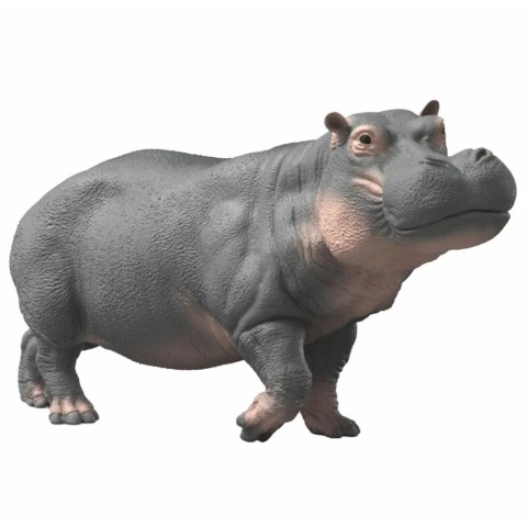 Hipopotam
