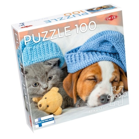 Puzzle 100 Cute Kitten and Sleepy Dog