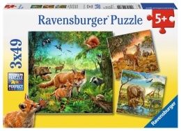 Puzzle 3x49 Animals of the Earth